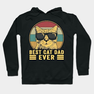 Best cat dad ever Hoodie